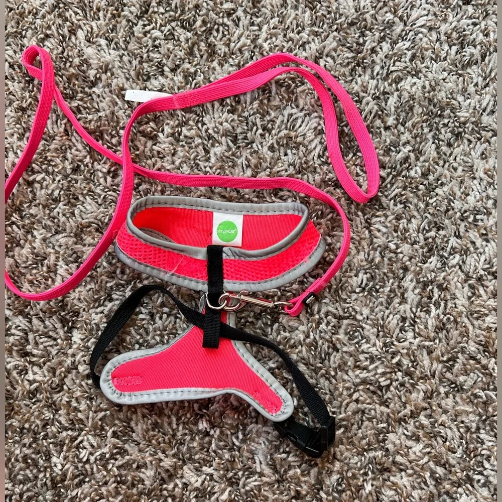 Pink Cat Leash/Harness